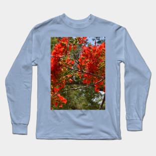 Flamboyant Long Sleeve T-Shirt